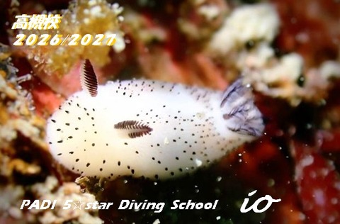 スクリーンショット 2026-01-08 185915.PNG