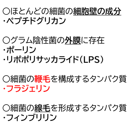 【裁断済み】ロムニーハウス　必勝必修ノート　119 歯科医師国家試験 ロムニーハウス 必勝必修ノート 119 歯科医師国家試験対策教材