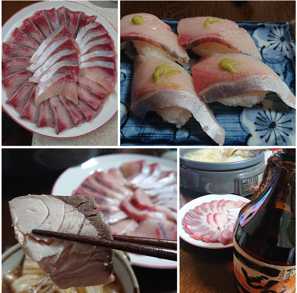 釣り フィッシング 東紀州 短竿大型五目 竿舞会 釣り フィッシング 東紀州 短竿大型五目 竿舞会