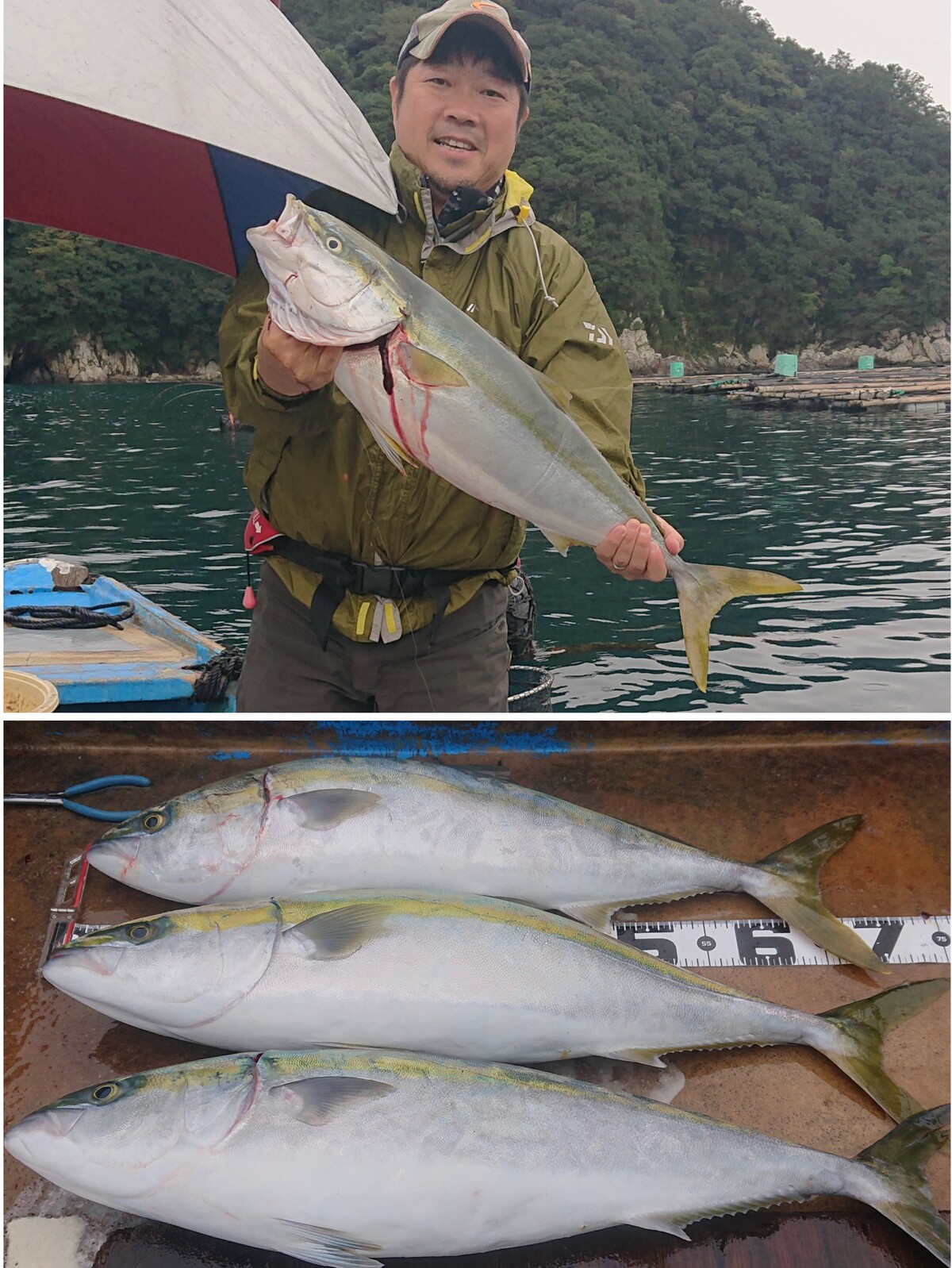 竿舞会no 100 須賀利で青物 筏 カセの短竿大型五目釣り 10月中盤戦episode 東紀州 短竿大型五目 竿舞会 竿舞会no 100 須賀利で青物 筏 カセの短竿大型五目釣り 10月中盤戦episode 東紀州 短竿大型五目 竿舞会