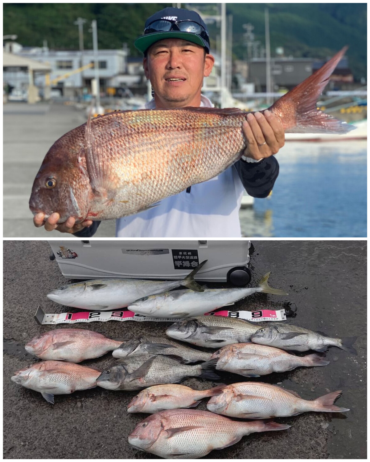 竿舞会no 96 三木浦でハチマル真鯛 筏 カセの短竿大型五目釣り ９月後半戦episode 東紀州 短竿大型五目 竿舞会