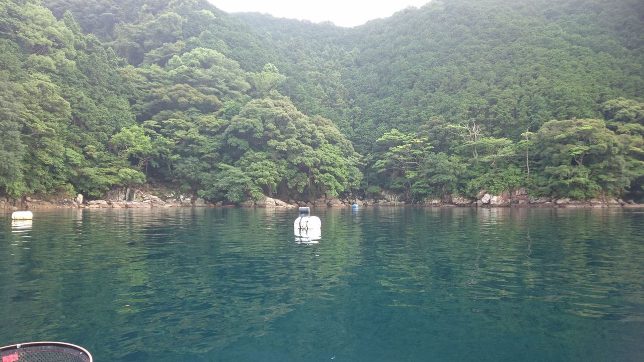 No 76 三重県 某所 カセの大グレ釣り 東紀州 短竿大型五目 竿舞会