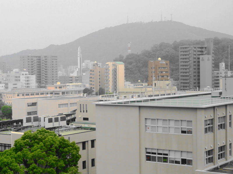 徳島市と眉山 びざん 元会長ブログ
