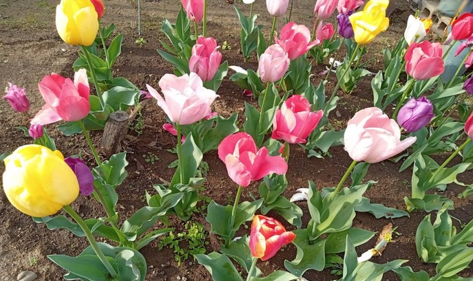 �������Υ���5