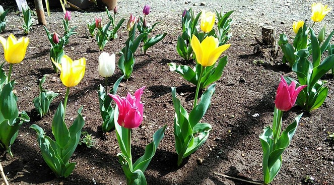 �������Υ���3