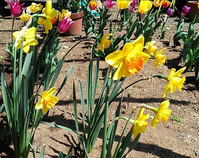 �������Υ��͡���������