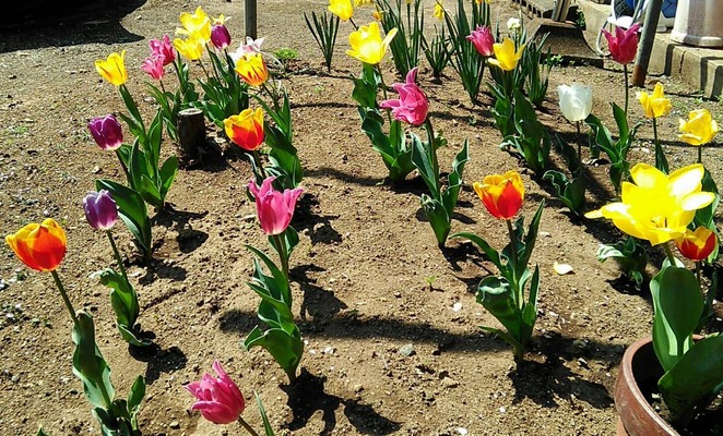 �������Υ���