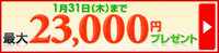 ¥Þ¥Í¥Ã¥¯¥¹¾Ú·ô¡¡¸ýºÂ³«Àߥ¥ã¥ó¥Ú¡¼¥ó
