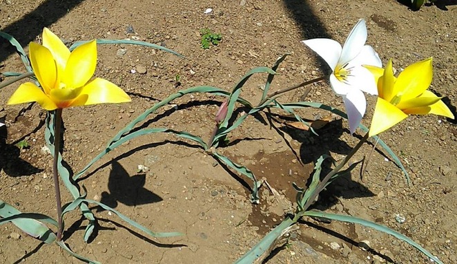 �������Υ��͡�������塼��å�