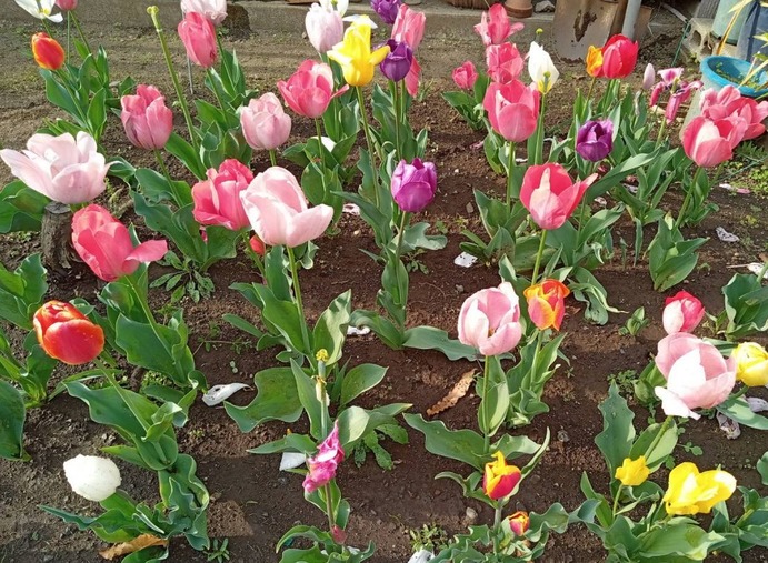 �������Υ���2