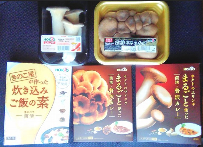 ����ͥ��  �ۥ���