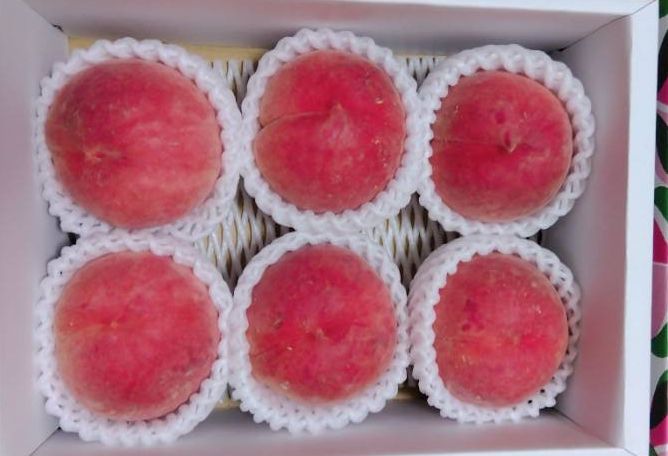 ¥Ò¥å¡¼¥ê¥Ã¥¯Í¥ÂÔ