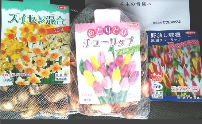 �������Υ���