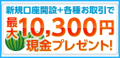 SBI¸ýºÂ IPO
