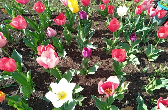 �������Υ���3