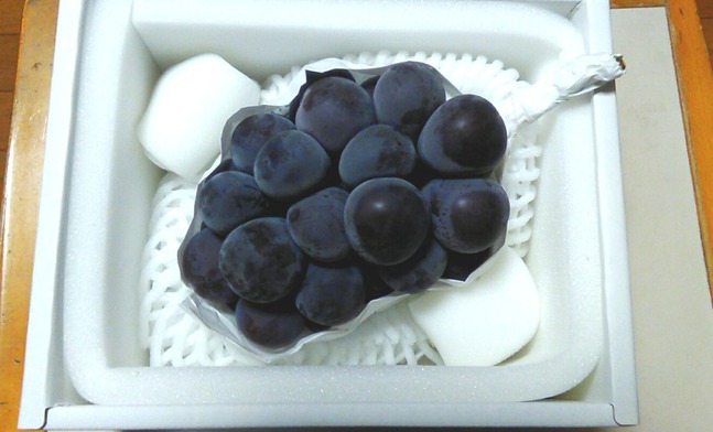 ����ͥ�ԡ����ŷʪ��(��)��2791��