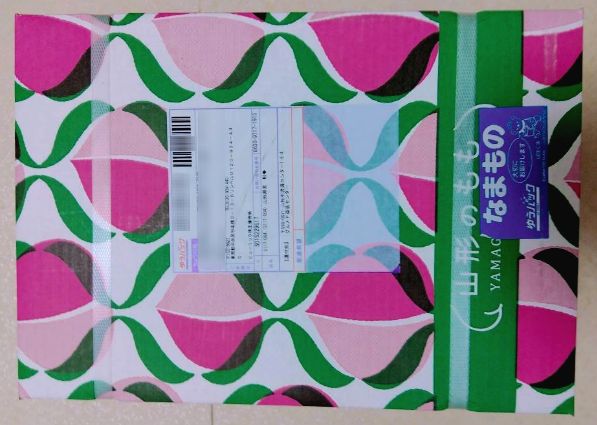 �ҥ塼��å�ͥ��