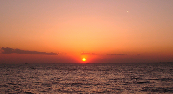 2010ǯ���޽�