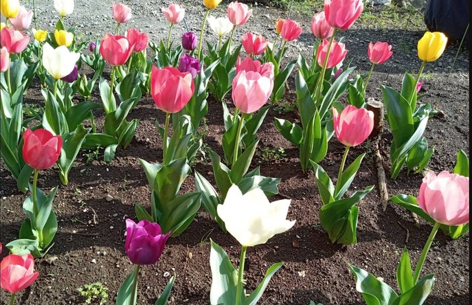 �������Υ���4