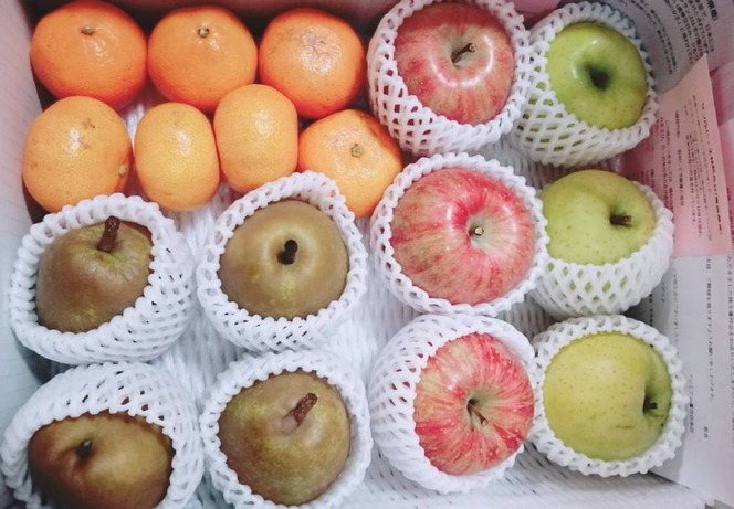 �ե롼��ͥ��1