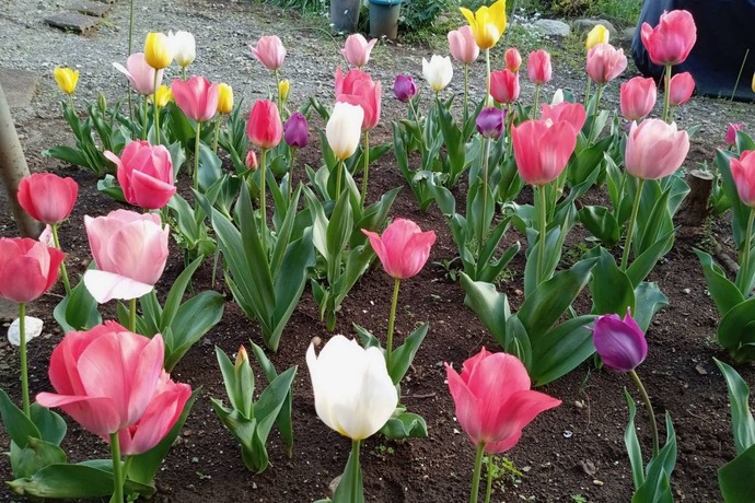 �������Υ���