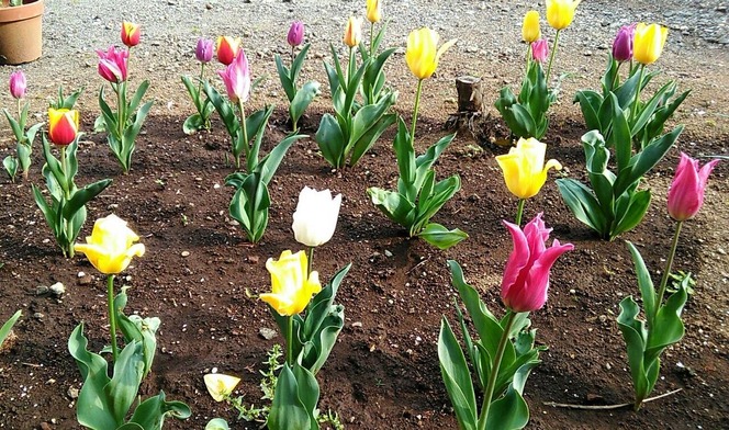 �������Υ���2