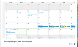 miCoach Monthly Plan