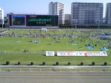 50d91b33.JPG