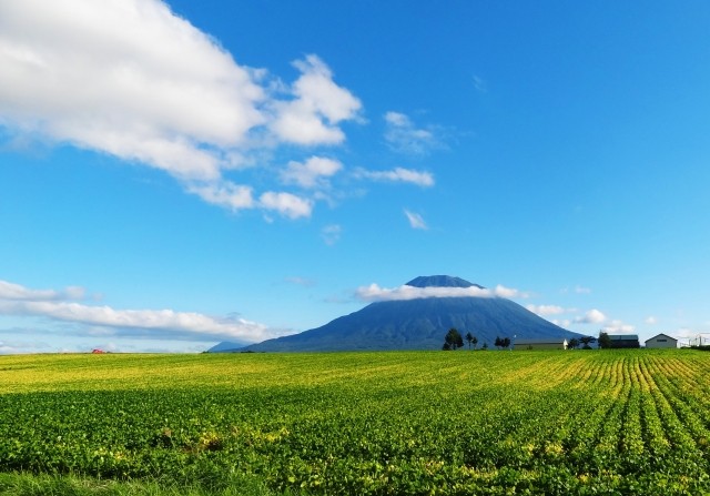 niseko