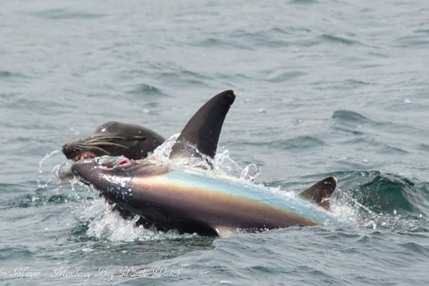 Oqxz7zJTILa27SP1467167354