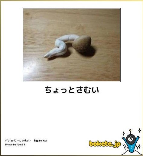 めちゃくちゃ笑えるコピペを貼るスレ お前ら就職どこに決まった Fbネタ速報 地下ver めちゃくちゃ笑えるコピペを貼るスレ お前ら就職どこに決まった Fbネタ速報 地下ver