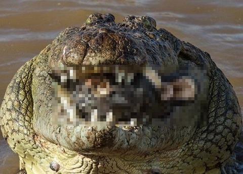 sP5NhjTGRFeSPP81458187861