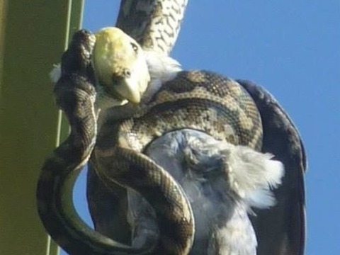 kBUnMCdWh2sZ0fv1463285357