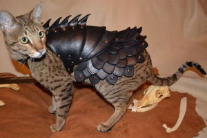 140110catarmor