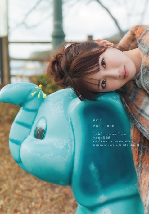 沢口愛華ちゃん　トワイライト (11)