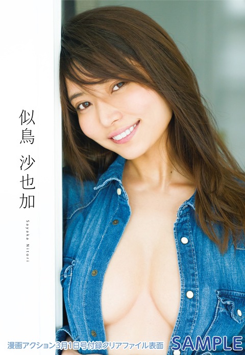 似鳥沙也加 (10)