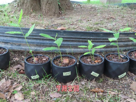 IMG_6880スーパー入りweb