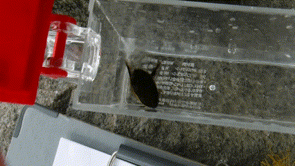 New Project ‐ Clipchampで作成 (2)