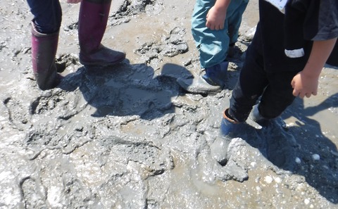 古川DSCN6705トリミング済