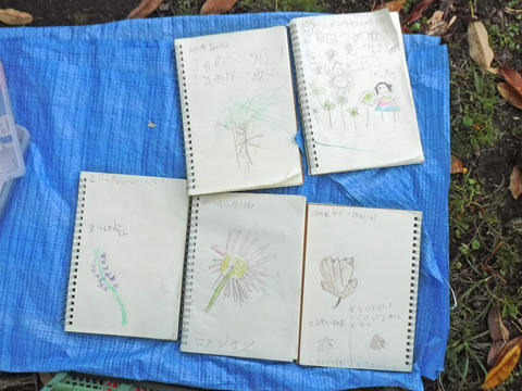 DSCF2740_1班shadowhilight