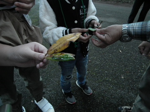 ipponnoki (4)