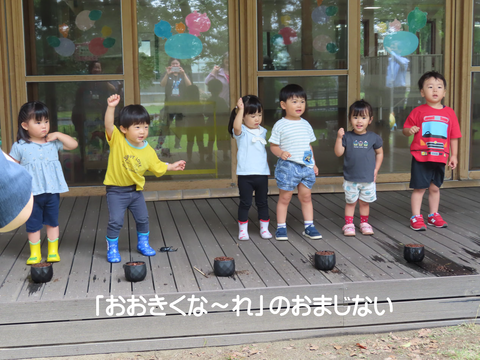 IMG_6837リサイズ