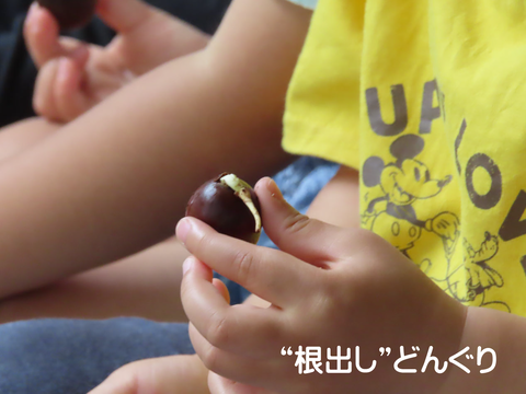 IMG_6811リサイズ