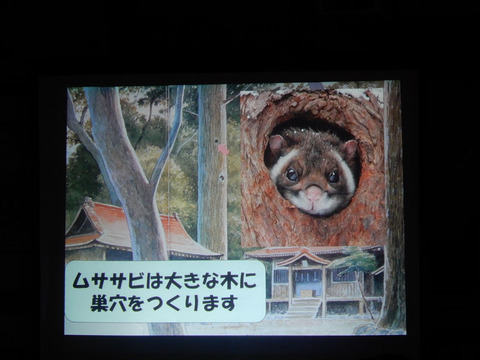 ipponnoki (2)