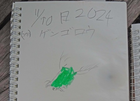 ４DSCF2530色調補正