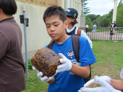 IMG_7152キリヌキ