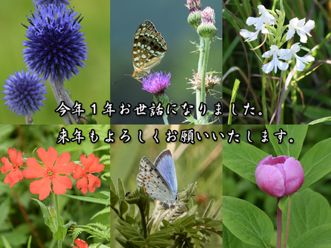 年末のあいさつ