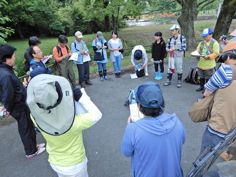 江津湖春の観察会の下見 : くまもと自然だより