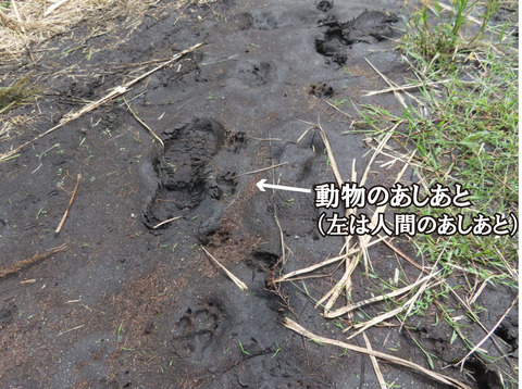 IMG_7102キャプション入り