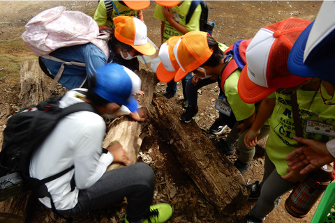 ipponnoki20210726 (1)